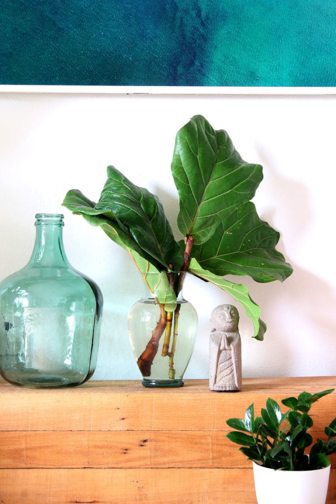 fiddle leaf branches in vase