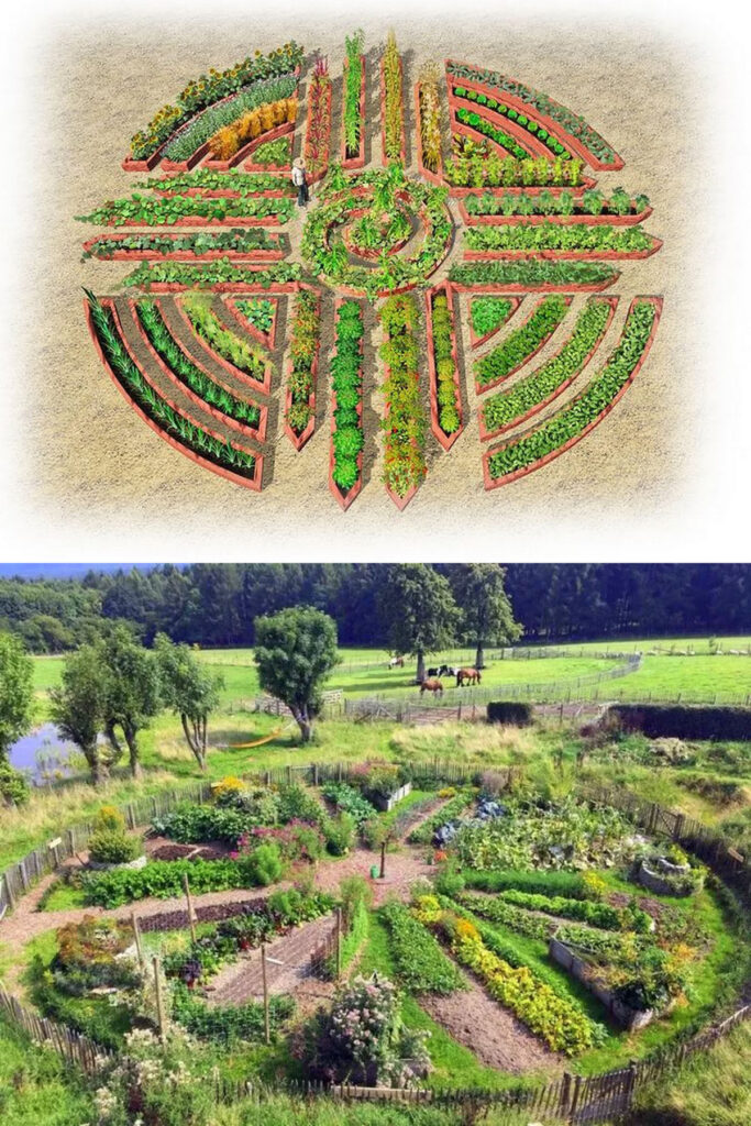 Create a mandala-shaped garden bed