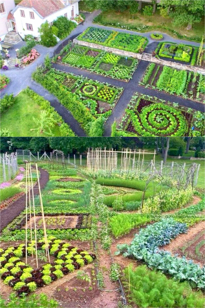 Irregular kitchen garden plot design ideas
