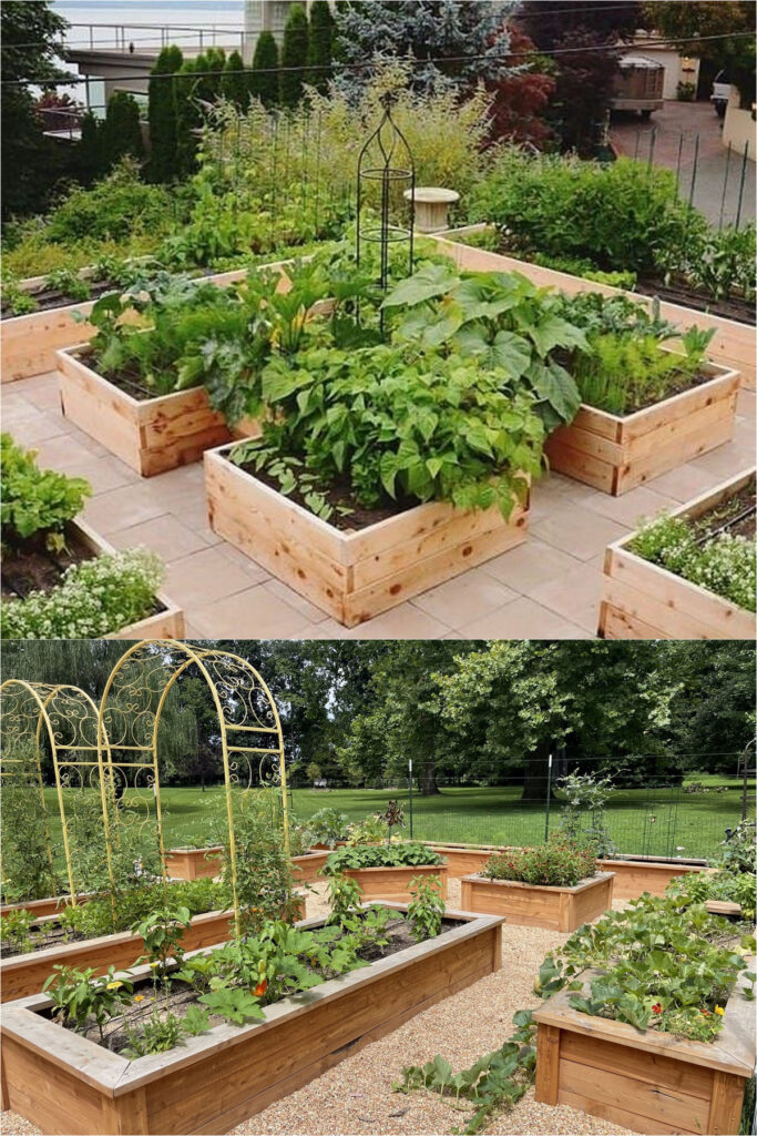  cedar or redwood garden beds