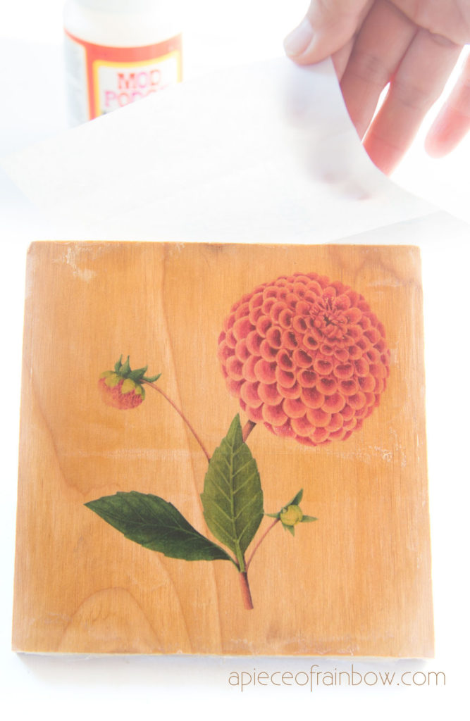 transfer botanical flower art to wood