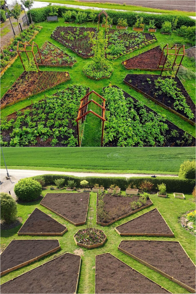 Radial garden beds layout vegetable garden design ideas