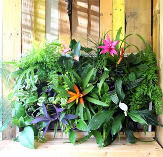 Build a stunning tropical living wall with pallet! | A Piece Of Rainbow