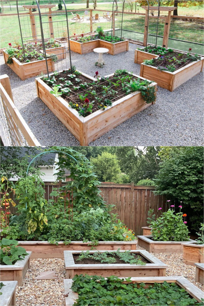 Vegetable garden raised beds