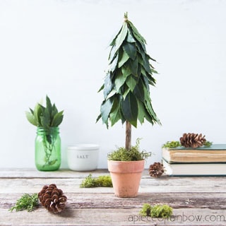 Beautiful $1 DIY tabletop Christmas tree with fresh leaves topiary & recycled materials! Perfect farmhouse kitchen decorations & boho modern gift idea! – A Piece of Rainbow vintage boho decor, nature crafts