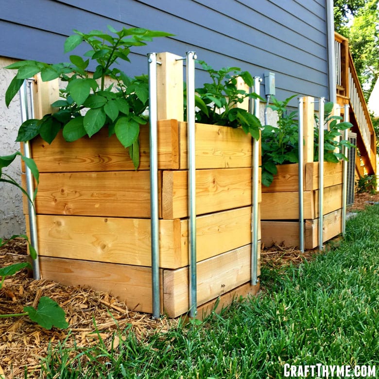 DIY wood potato planter box 