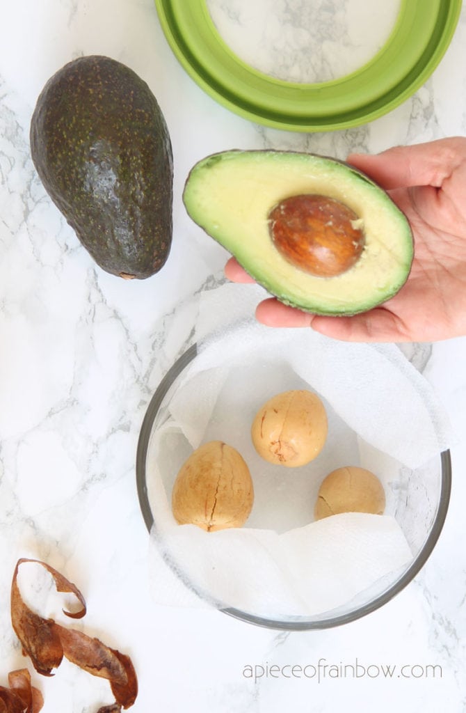 grow avocado seeds in plastic bag or a container with damp paper towel 