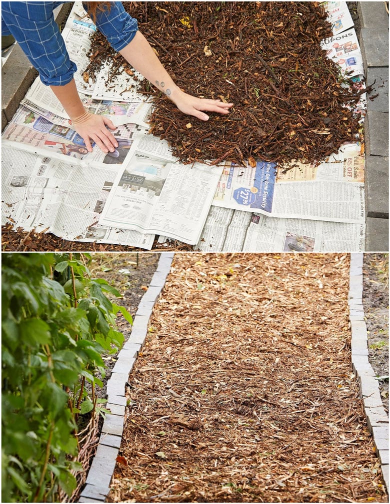 diy garden path with mulch
