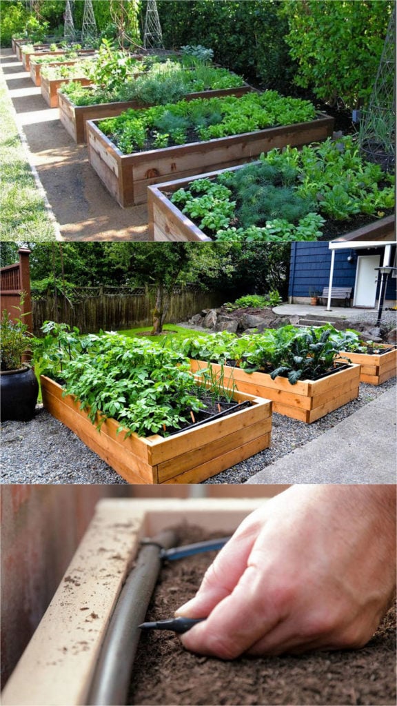 build raised beds or vegetable & flower garden box planters  using wood