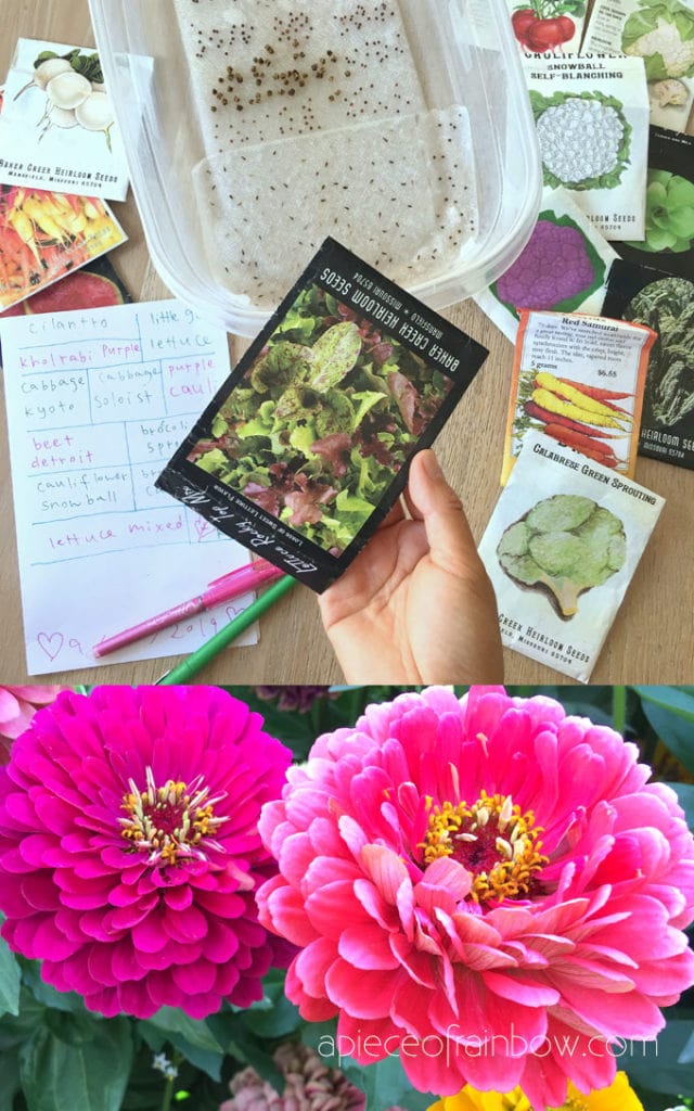 grow your own flowers and vegetables from seeds