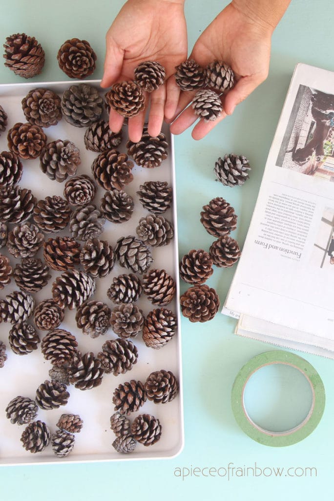 pine cones for crafts