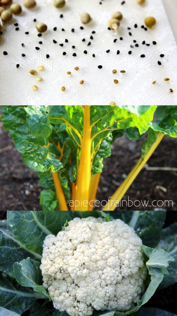 germinate seeds and grow tomatoes, onions, kale, and other vegetables