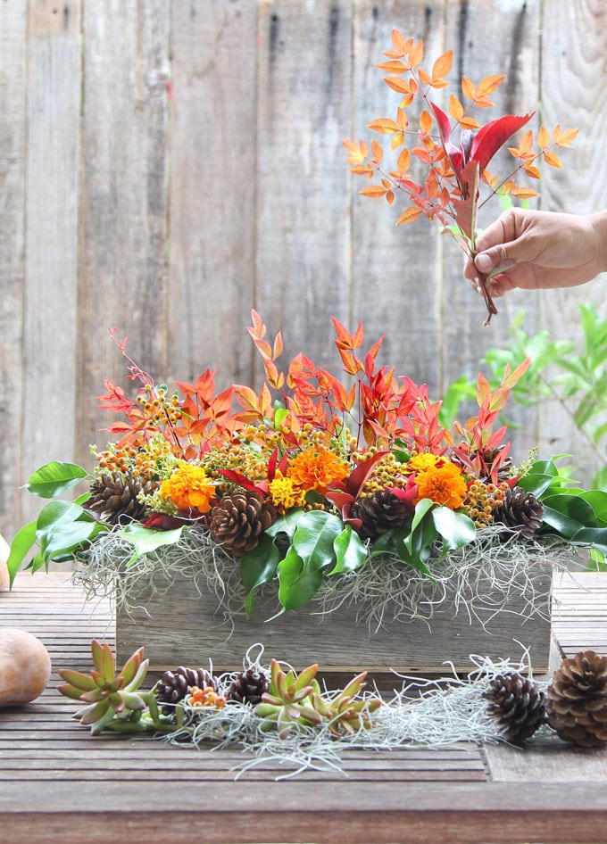 Easy DIY fall & Thanksgiving centerpiece for $1. Tutorial & video on how to make beautiful & natural Thanksgiving table decorations with colorful fall leaves!