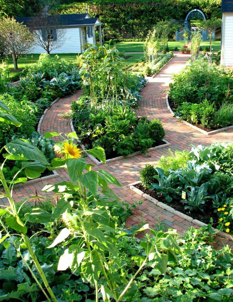 beautiful edible garden designs