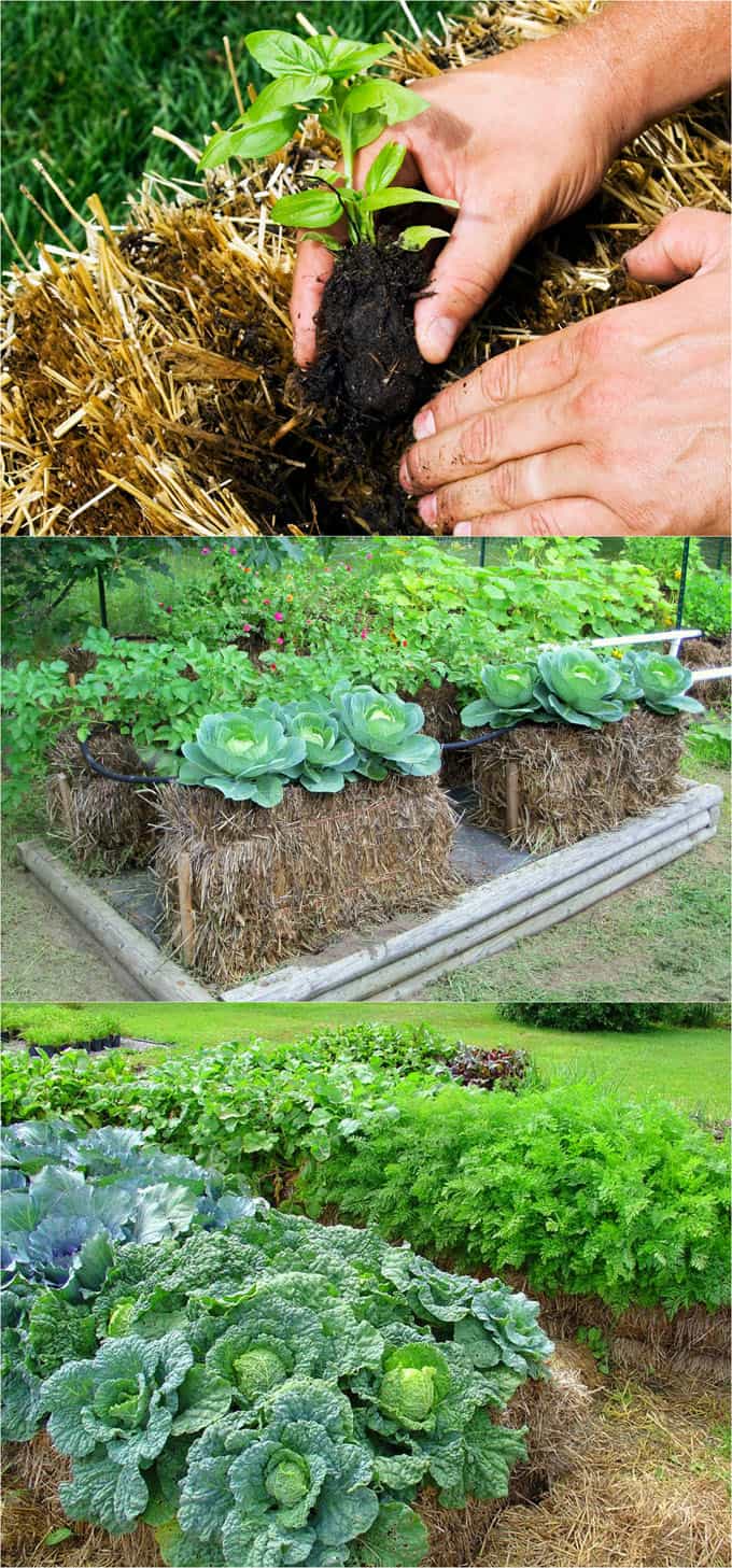 Straw bale gardening ideas