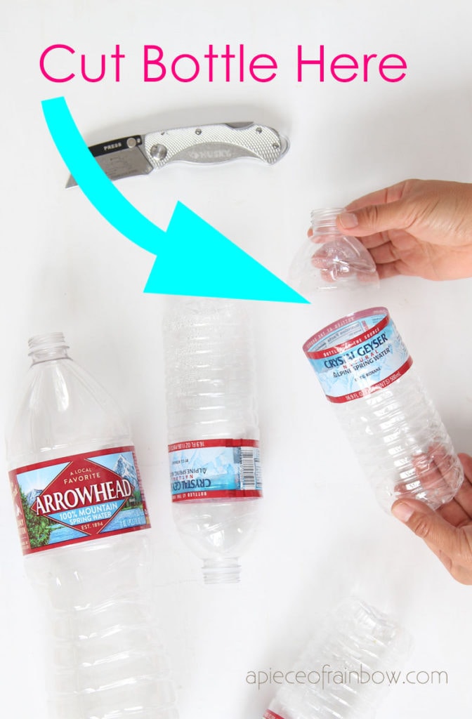 DIY  avocado tree growing kits using plastic bottles