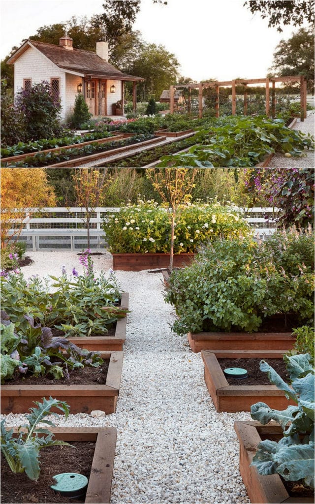 well designed beds and paths in farmhouse vegetable garden layout 