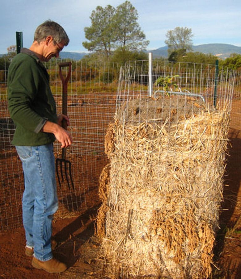 wire cage and straw potato tower 