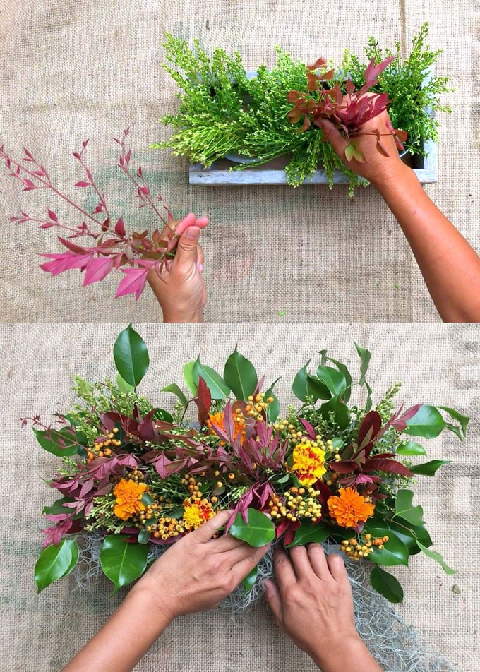  a mixture of foliage with many colors, shapes, and textures 