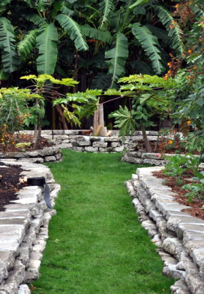 Grass Walkway in tropical Garden