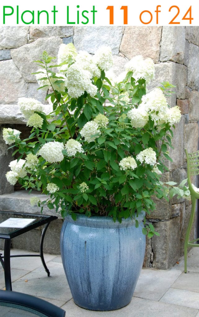 Country garden planters and pots