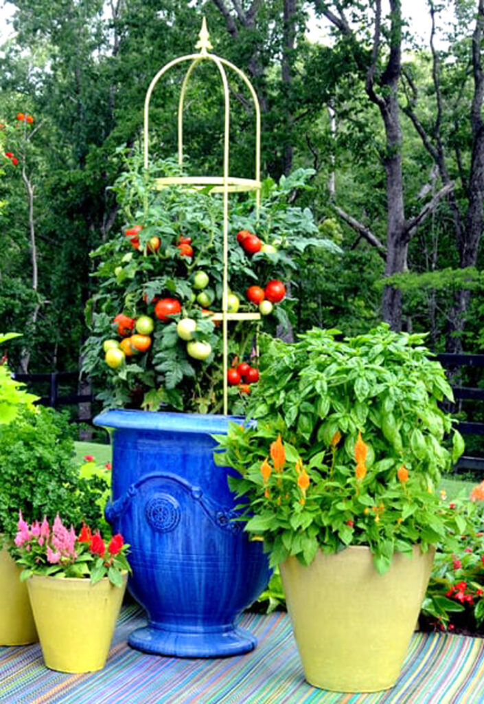 Colorful vegetable container garden mixed with flowers