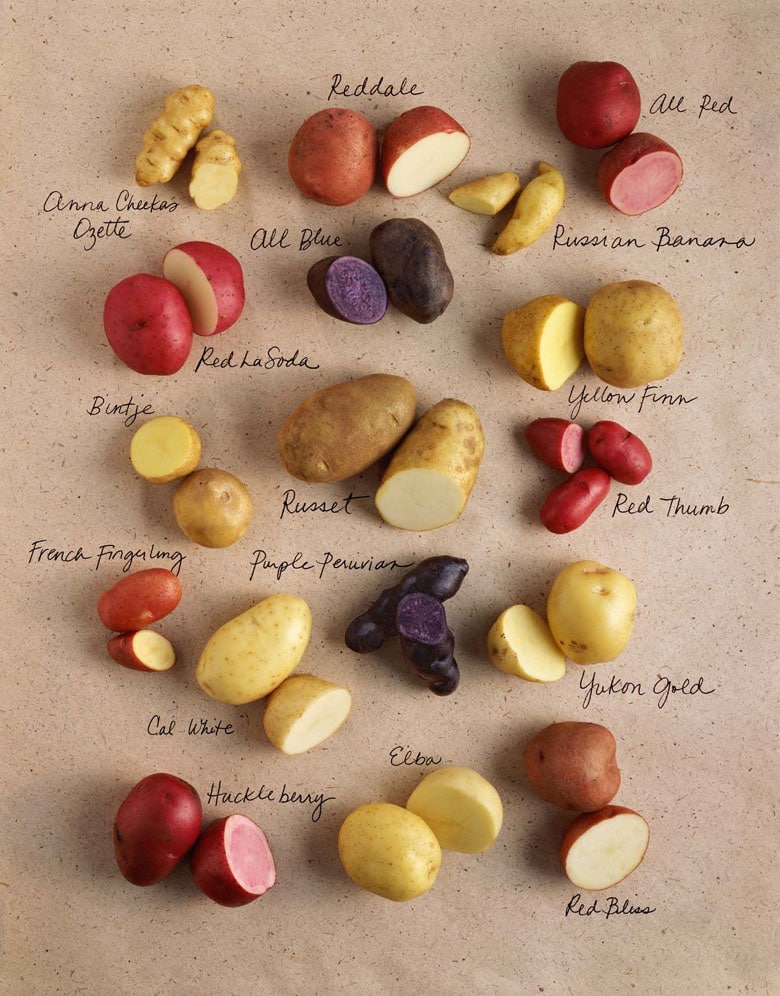 colorful Potato varieties chart