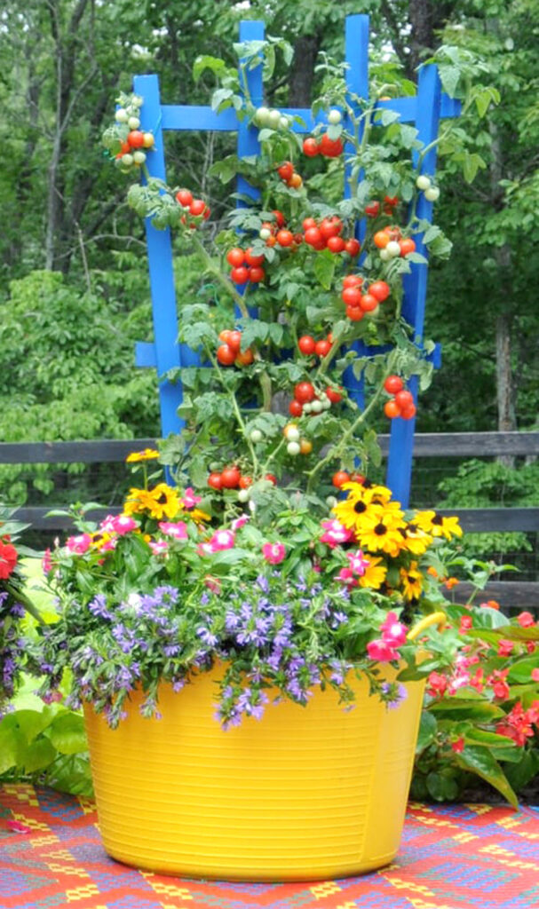Colorful trellis as container garden art