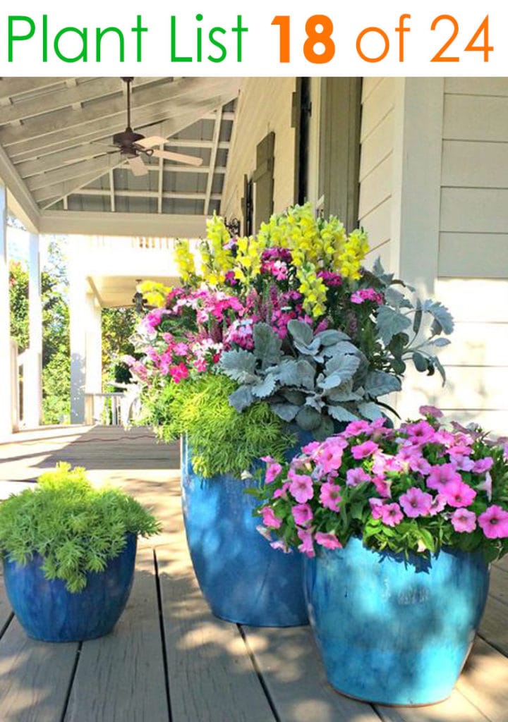 Colorful flower pots on porch
