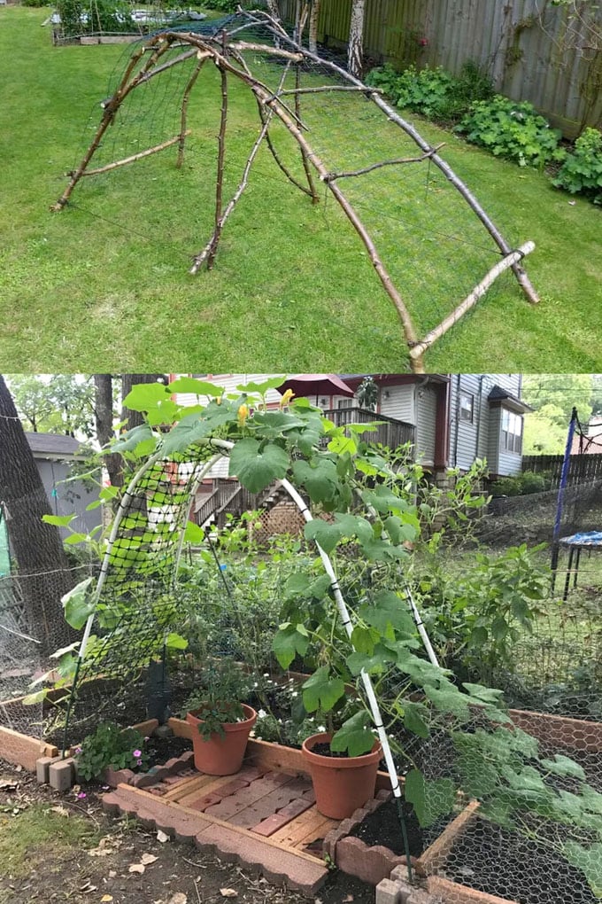 How to build arched garden trellis 