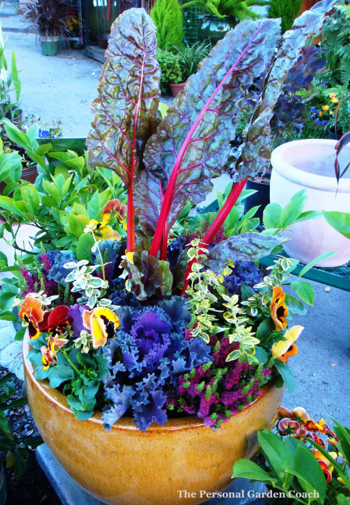 Mixed vegetable container garden