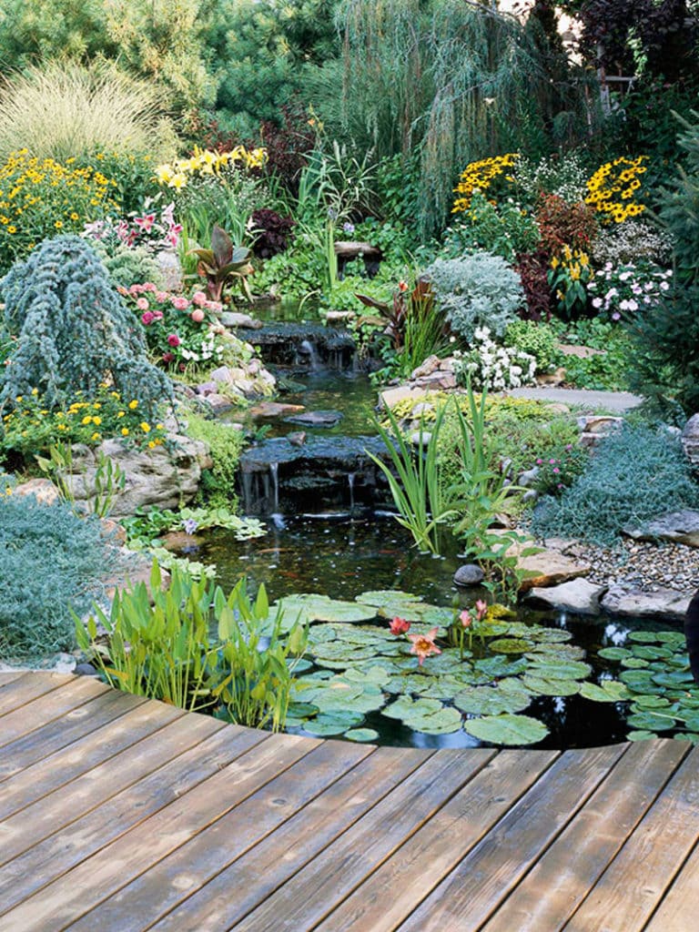 A beautiful pond and small waterfall  with lots of colorful flower plants and fish