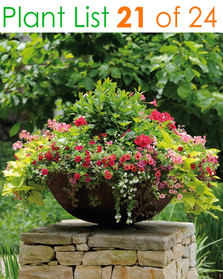 Flower pots on garden columns