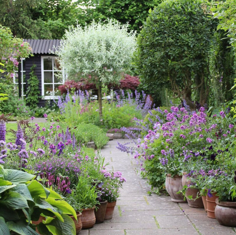 Use plants to create outdoor space