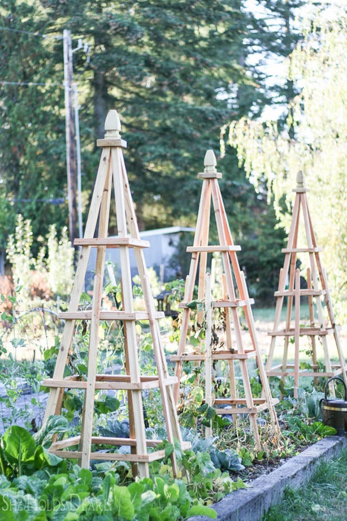 Farmhouse country style wood trellis ideas