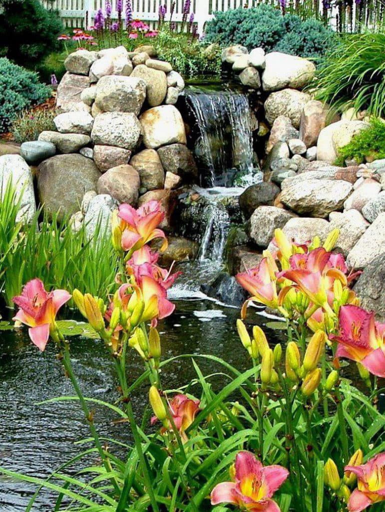 garden pond and waterfall with rocks, plants and flowers
