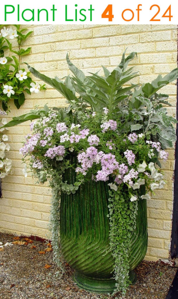 Beautiful vegetable garden mixed planter 