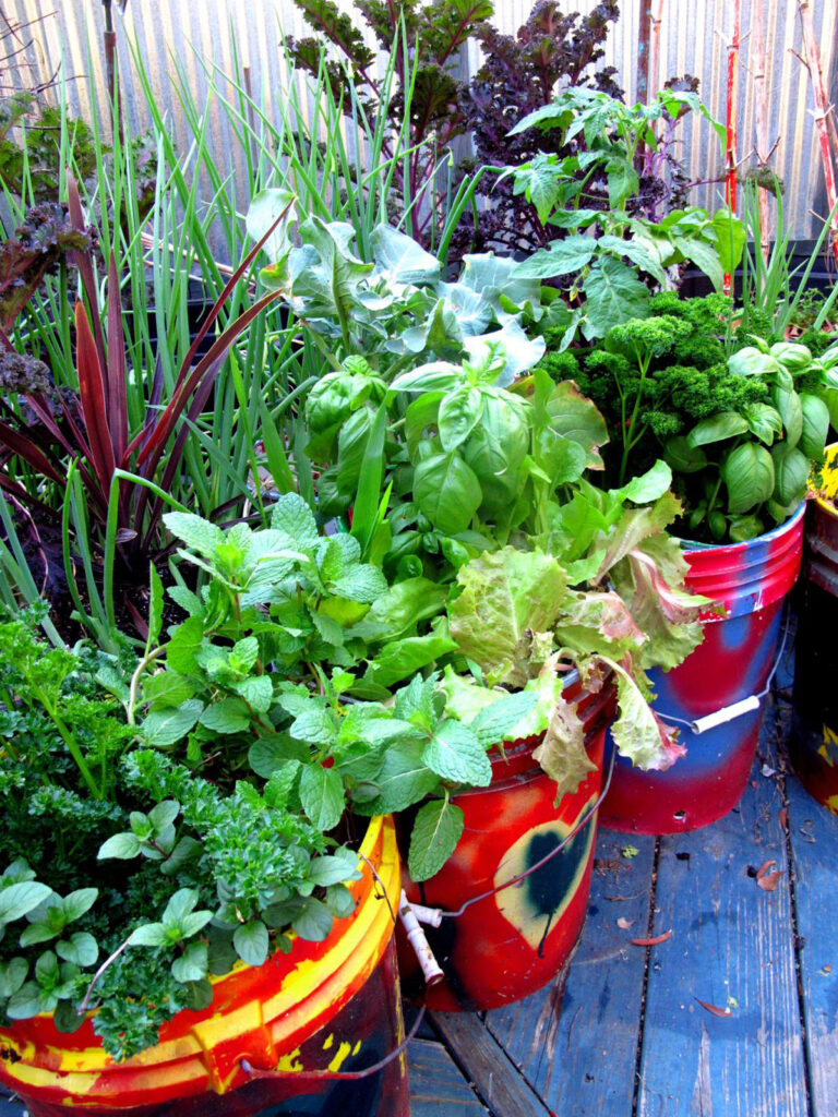 Painted buckets container vegetable garden ideas