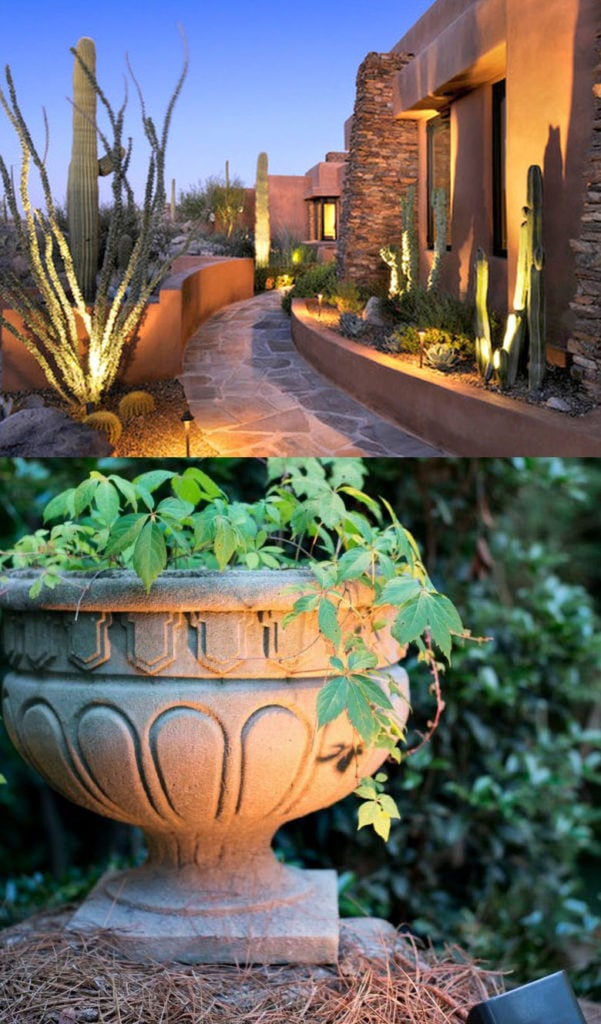 Up lights  shine up at  tree,  wall, garden plants and planters