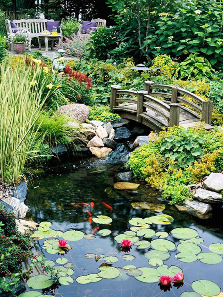 wooden bridge over a garden pond with fish and lily