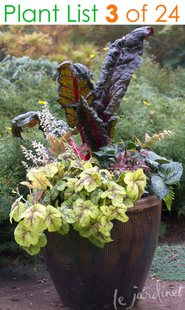Edible container garden ideas with red chard