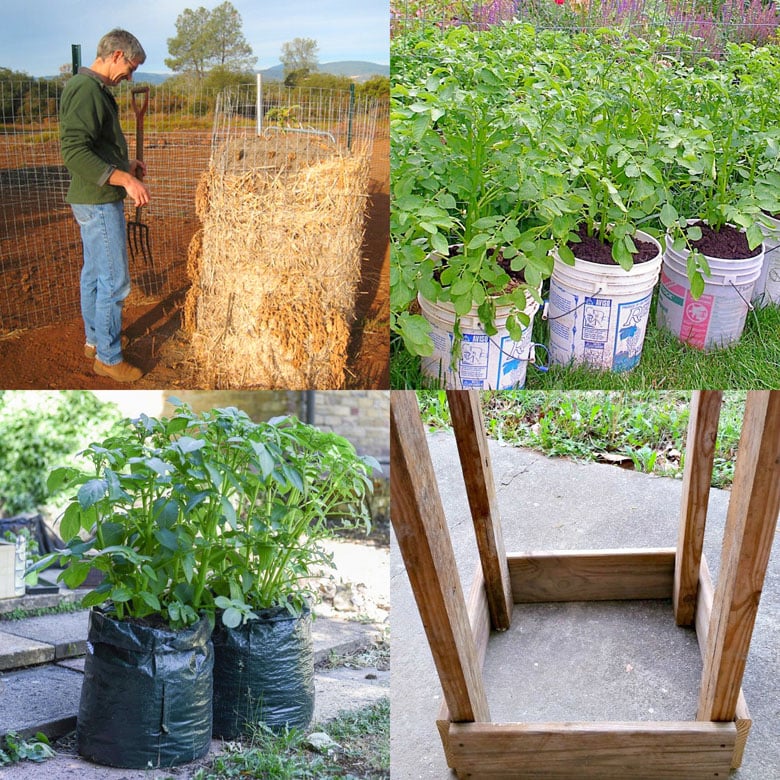 how to plant potatoes in containers, and choosing the best grow bags, buckets, pots, boxes, etc