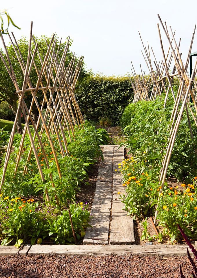 How to build bamboo garden trellis 