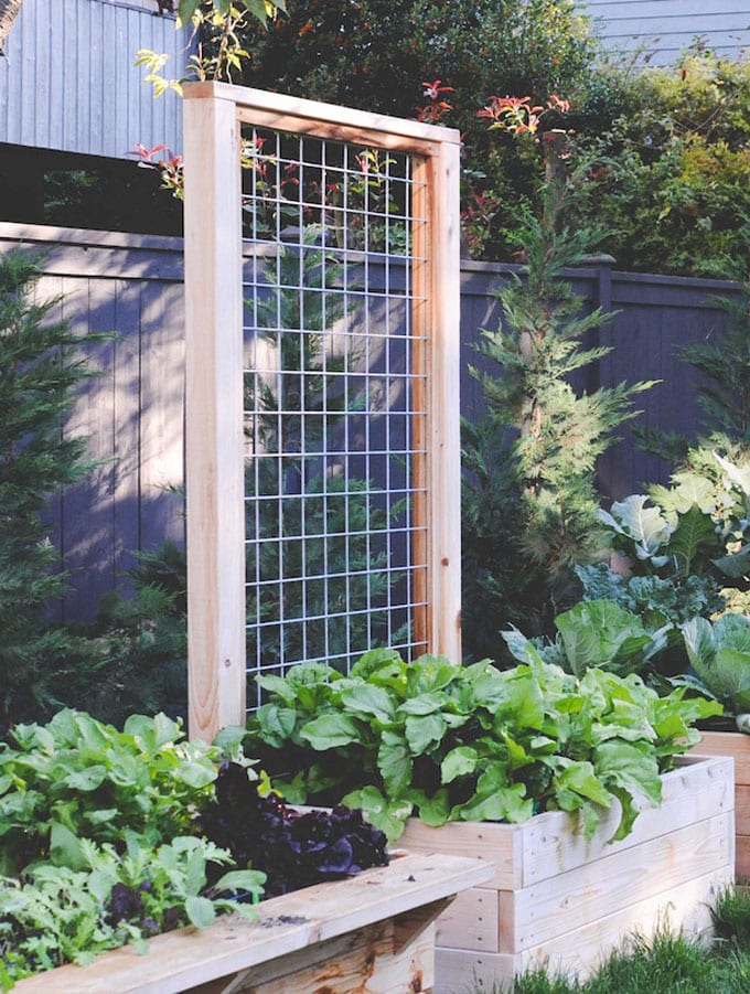 Raised planter trellis for vegetables