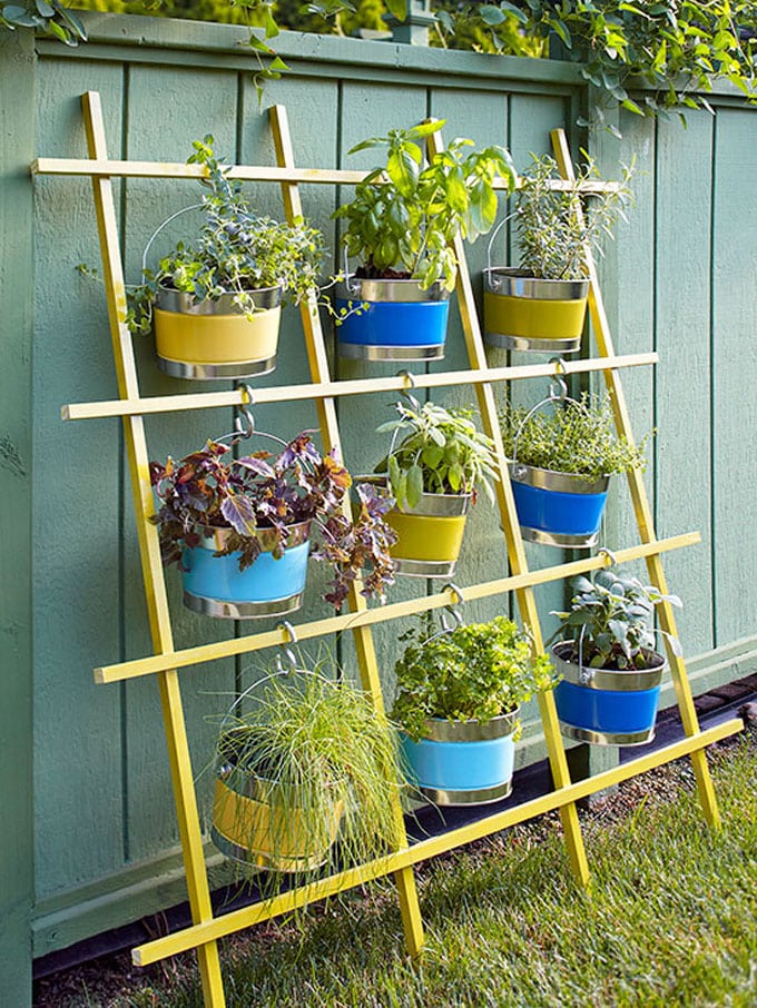 Ladder plant trellis ideas
