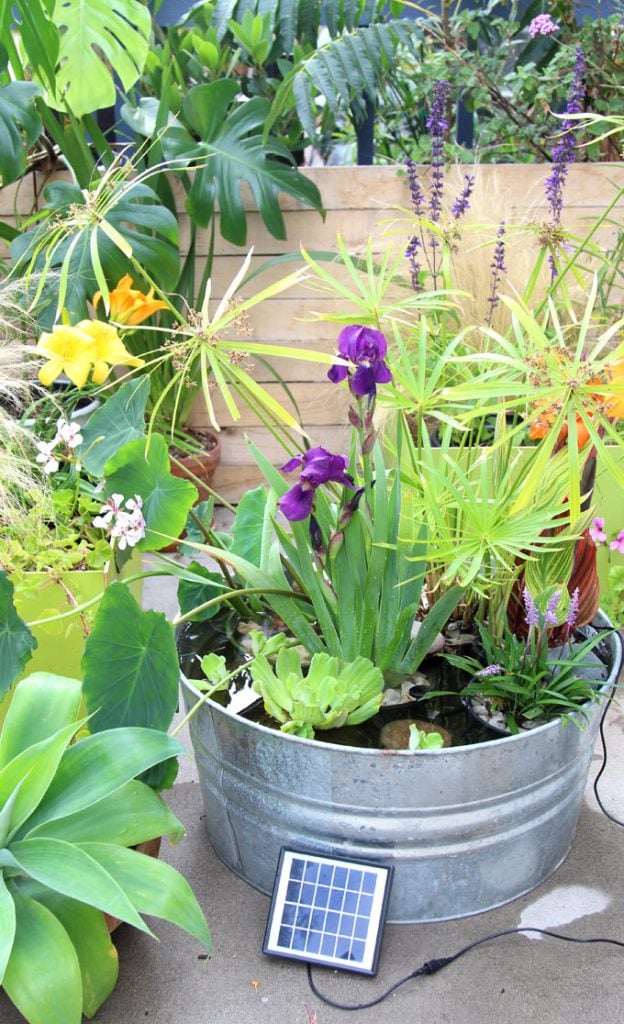 garden with solar fountain DIY patio pond with beautiful water plants