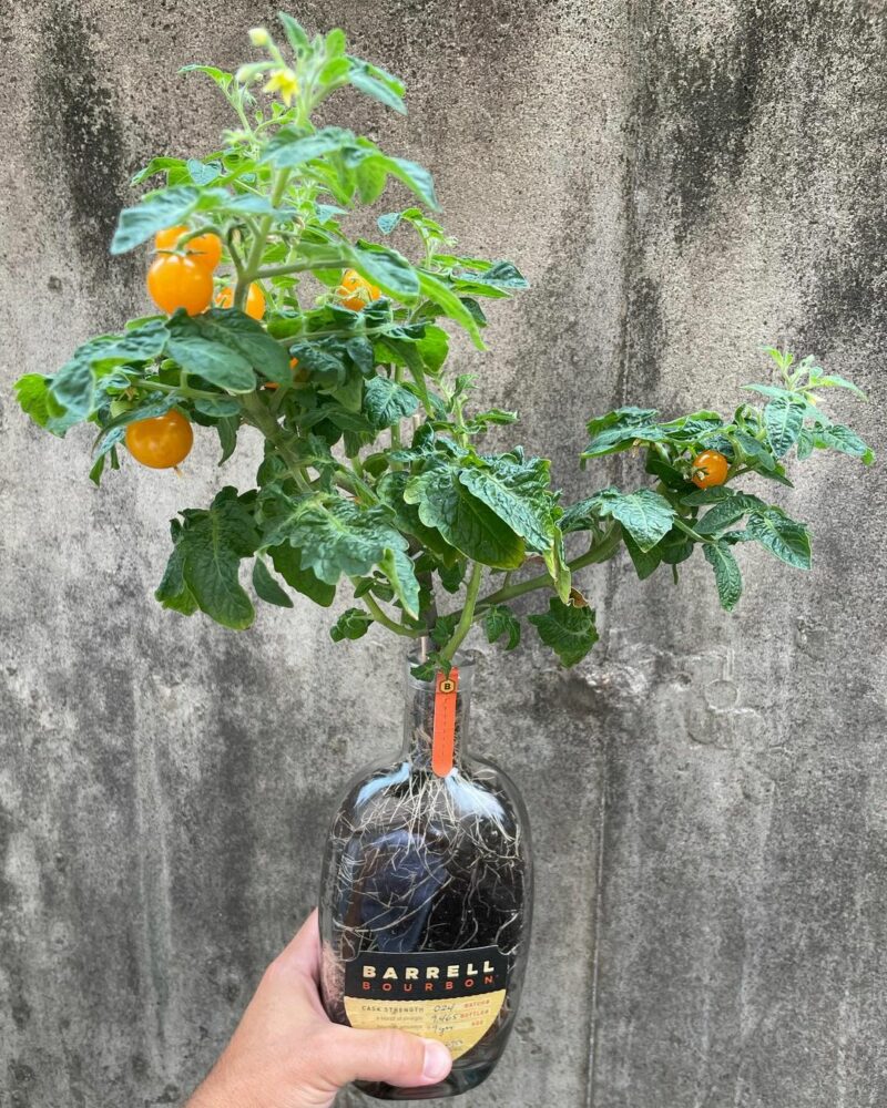 Recycled bottle planter