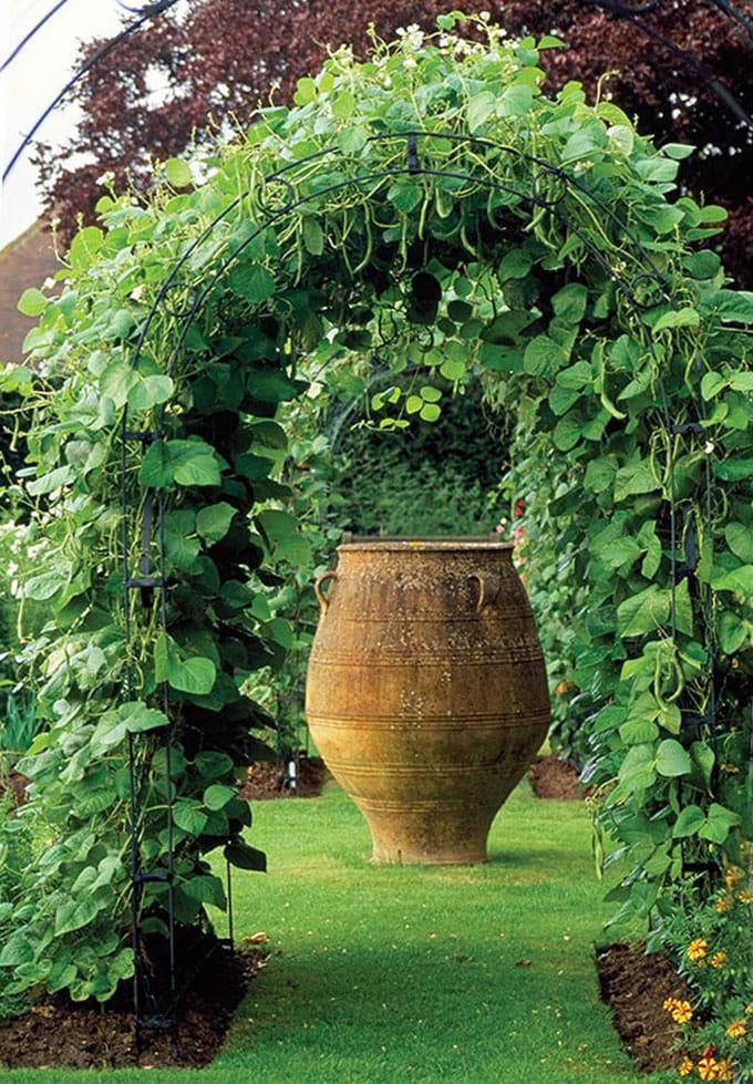 Beautiful plant trellis for vegetable gardens