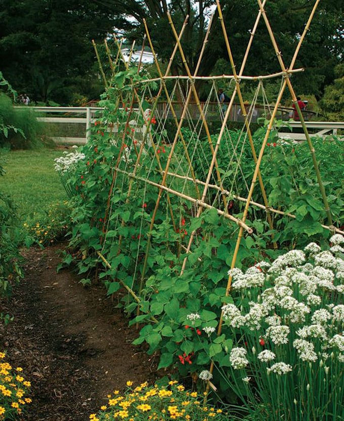 Easy DIY bamboo trellis with strings