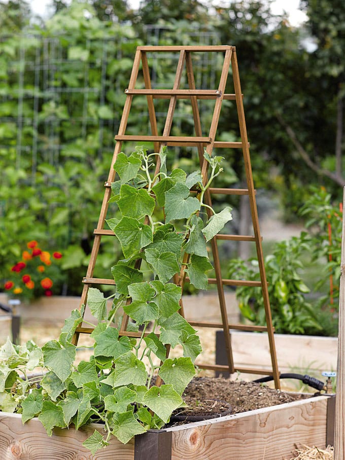  Simple and sturdy A-frame wood trellis panels